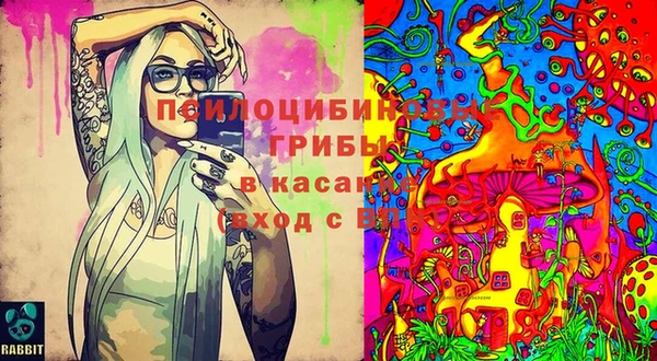ГАЛЛЮЦИНОГЕННЫЕ ГРИБЫ Абинск