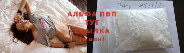 молекула духа Алексин