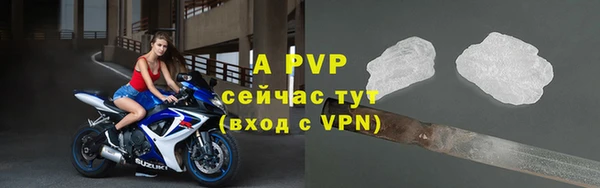 ешки Пересвет