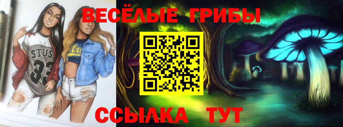 Галлюциногенные грибы Magic Shrooms  купить наркотик  Татарск  Вход с VPN 